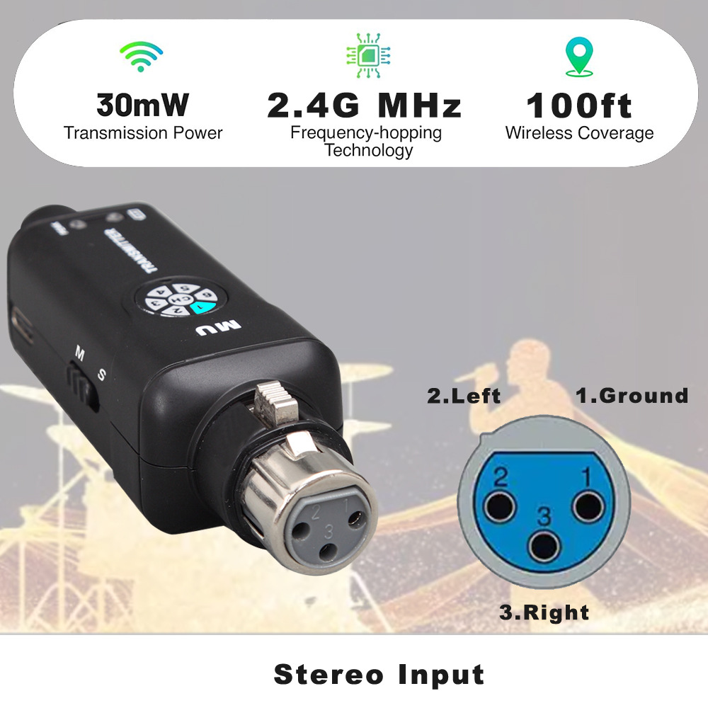2.4G ระบบมอนิเตอร์ไร้สายแบบใส่ - In Ear Monitors For Singers บทวิจารณ์และราคา